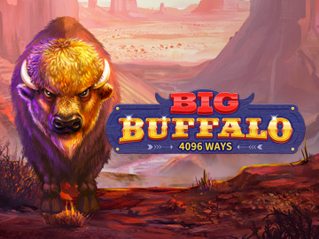 Big Buffalo