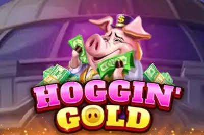 Hoggin' Gold