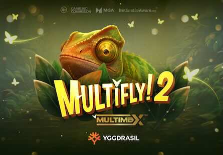 Multifly 2 Multimax
