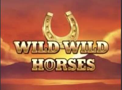Wild Wild Horses