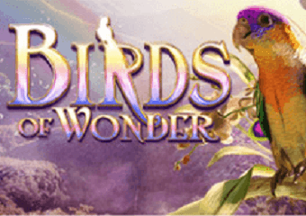 Birds of Wonder Slot Online – Gioco Gratis + Guida