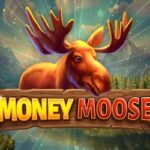 Money Moose slot machine