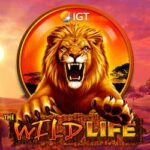 The Wild Life Slot